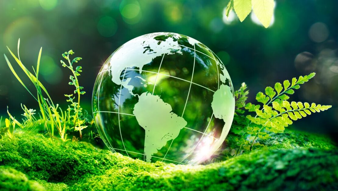 Halogen-Free Products